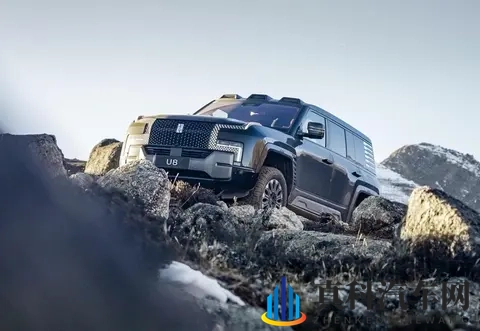 丢掉中国第一！比亚迪疲态显现、快装不下去了？-2