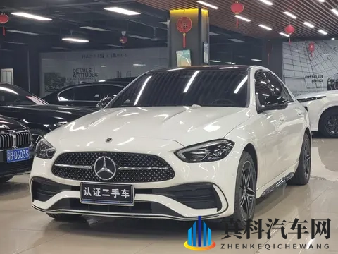 女生的逼软件:新能源汽车引热潮,女性安全驾驶新体验-1