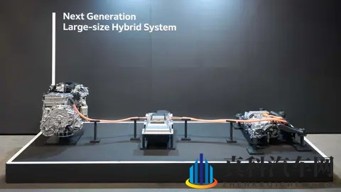 女人的肌肌让男人桶：女性魅力吸引男性目光-2