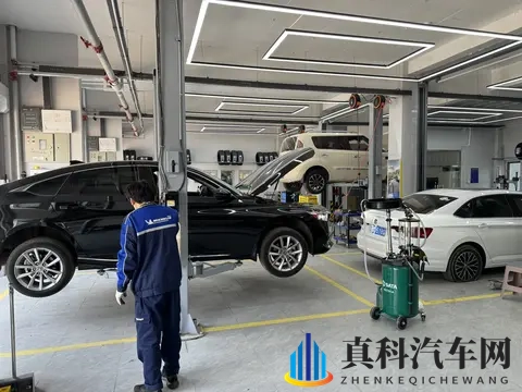 买了电车3年后,才知道关于电车的“谣言”有多离谱,都是真心话-1