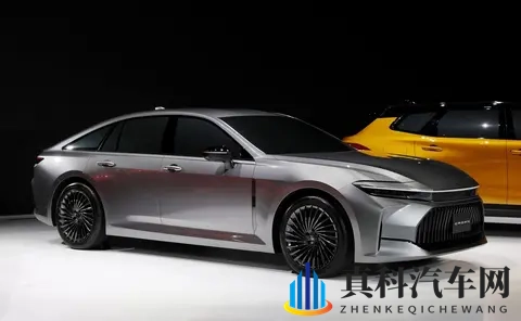 皇冠双生记:至享版与至尊版的选择哲学-2