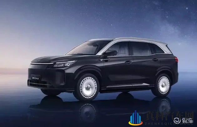 桐桐桐桐铜铜好多:新能源汽车市场崛起,神秘品牌销量飙升,揭秘魅力!-1