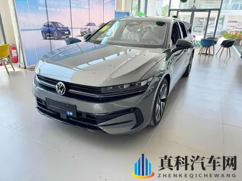 黑人 迪克 娇小 亚洲人 青少年:汽车文化多元视角:探寻不同群体独特魅力-2