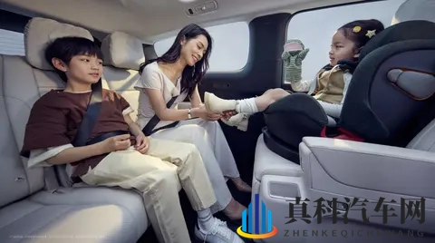 理想MEGA起火事件,看透新能源电池行业谁在裸泳-2