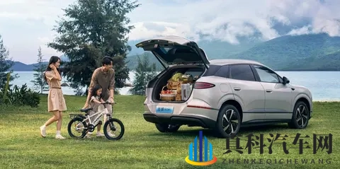 百日十万辆!比亚迪海狮06第十万辆整车下线-2