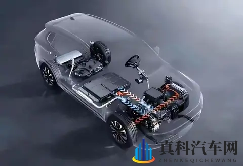 火辣辣福利：激情四溢，惊喜连连福利大放送-3