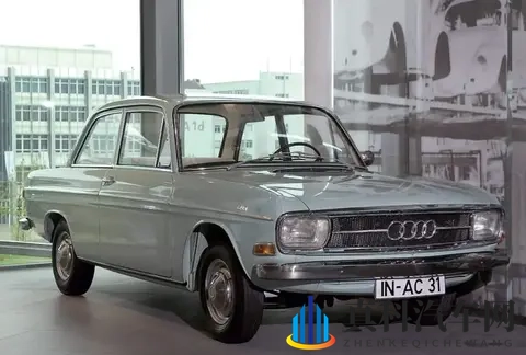 欧美牛和人交:牛粪变内饰新宠,绿色出行新篇章-3