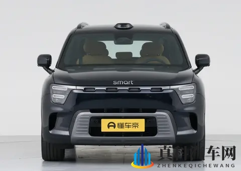 smart精灵#5,豪华又省油,家用很不错-2