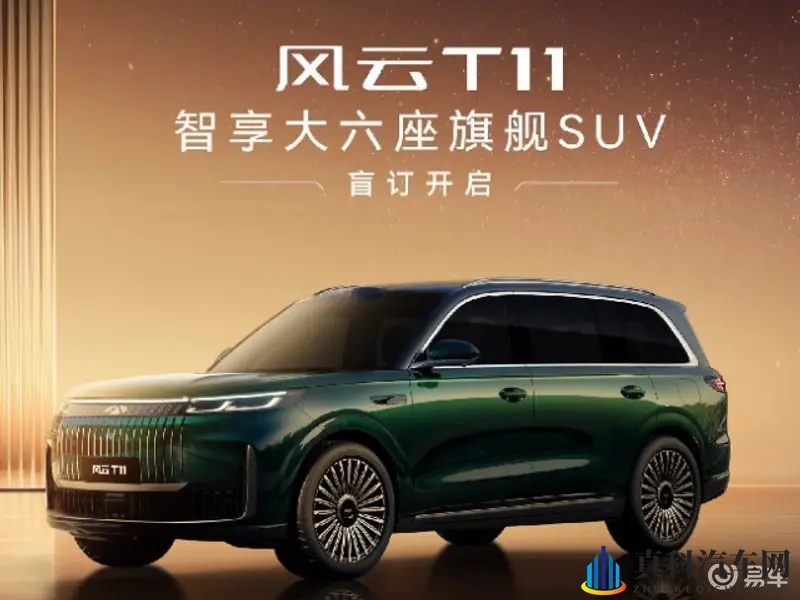 奇瑞风云T11正式预售：19.99万元起，-1
