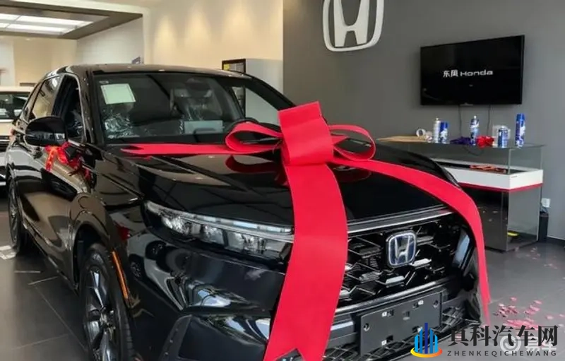 葵司第一次尝试黑人：葵司初体验,与异族相遇-1