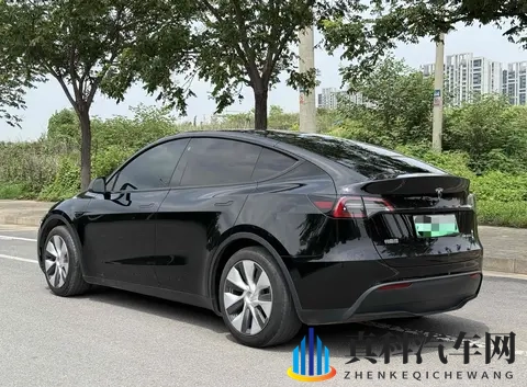 二手特斯拉Model Y购买指南：性价比，风险，未来？-3