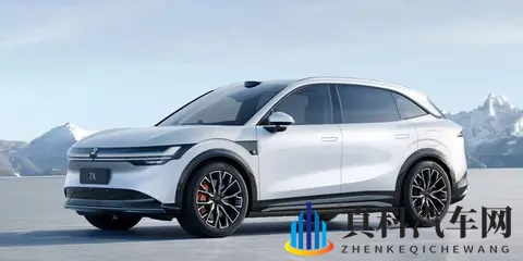 不卷性能卷配置,极氪全系配137项配置,销量背后利润压力藏不住-3