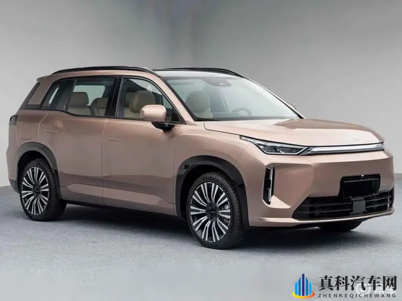 打扑克又:又逢牌桌竞技时,娱乐新花样再现-1