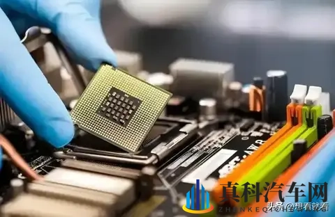 记者质问荷兰首相：你认为荷兰这做法蠢不蠢？他的回应绝了-2