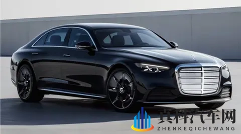 全新奔驰E级电动EV版大致这样:在电动新能源领域“能排第几”?-3