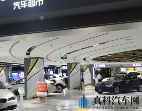 黑人 亚洲人 娇小：迷你豪车受热捧，空间动力两不误-2