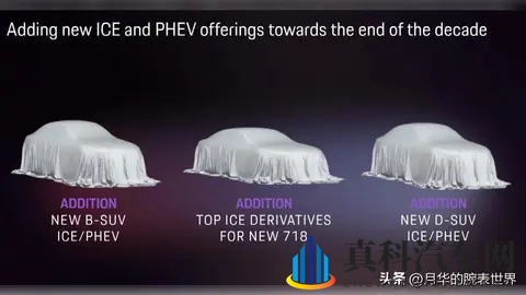 燃油 Macan 倒计时:一年后,等三年-1