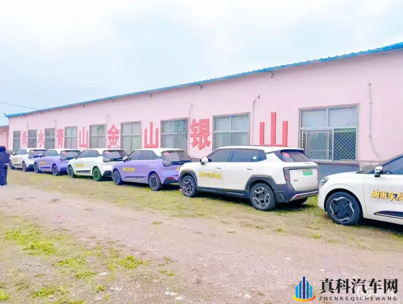 5万级纯电再升级！纳米01老车主带你秋日银杏林沉浸体验-1