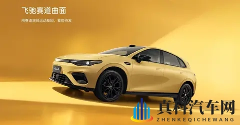 从卖不动的冷门车到月销七万， 双门轿跑竟是零跑的执念与翅膀-3