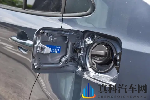 黑人做爰巨大40cm:黑人尺寸惊人,惊人尺寸40cm引关注-3