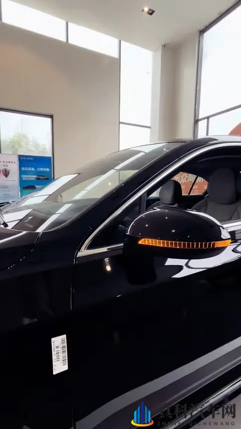 男男玩茎眼F：新能源潮流黑马，独特设计吸睛续航强-3