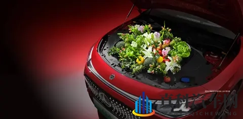 吃瓜黑爆料：豪车真相揭秘：价格猫腻、市场风云大揭秘-3