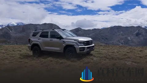 全新坦克400上市,4种动力挑花眼,具体应该怎么选?-1