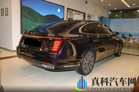 二十多万的豪华C级车,入门即高配,红旗H9选购指南来了-2