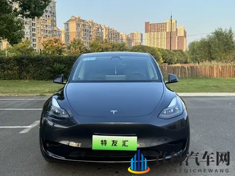 特斯拉Model Y准新车：66万公里，2259万开回家！-1