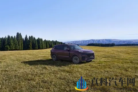 芋圆呀呀糖心vlog视频播放:圆子甜品记录,生活片段欣赏-2