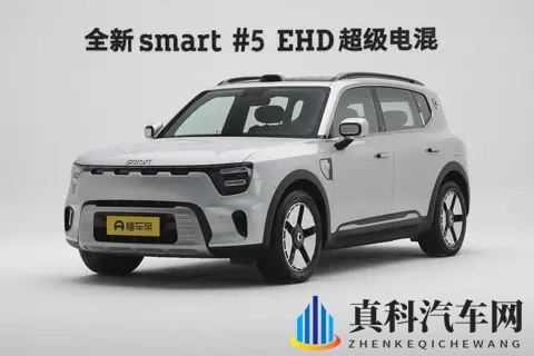 豪华与实用如何兼得?20万左右的预算,选smart精灵#5 EHD-2