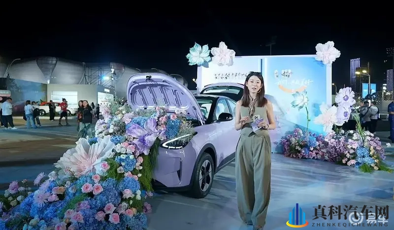 铿锵锵锵锵锵锵有多少破解:破解“铿锵”密码,探秘多重奥秘-1