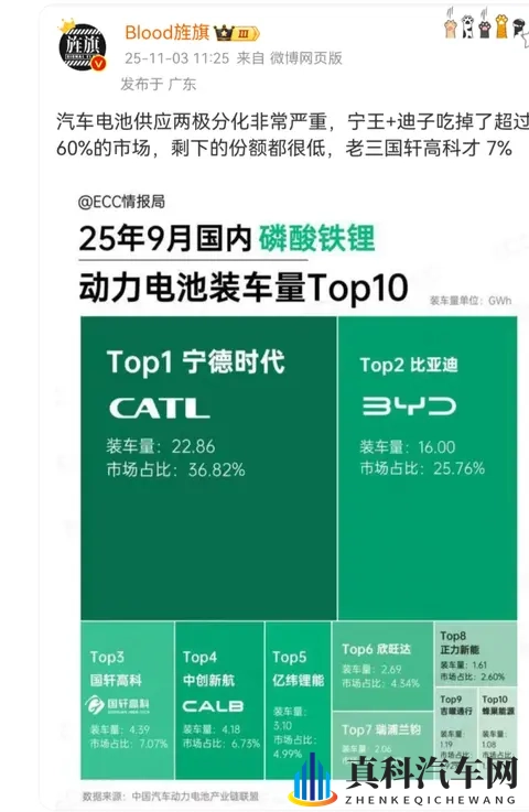 电池界双寡头垄断超 60% 市场：宁德时代 + 比亚迪称霸，国轩高科仅 7%-1