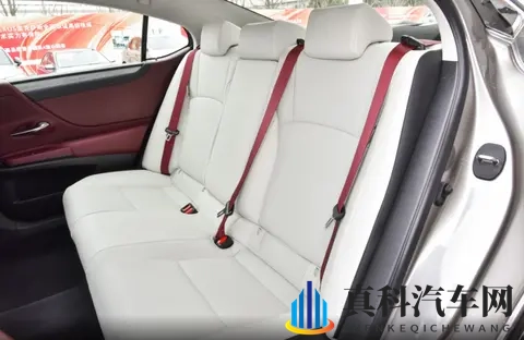 真有勇气,一个膜就贵128万,雷克萨斯ES 200特别版上市-3