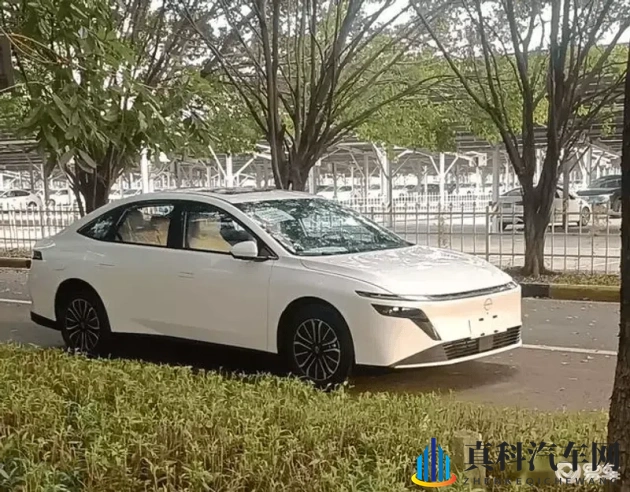 搞基网：同志交友，情感交流天地-1