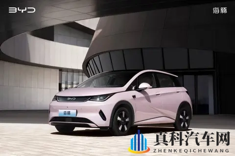 10万级,高阶智驾+冰箱,颜值还很高|海豚如何选?-2