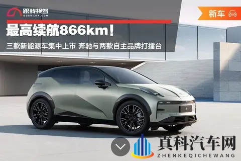 女保险公司推销员5中字：女性保险新势力：汽车保险市场的新风景-2