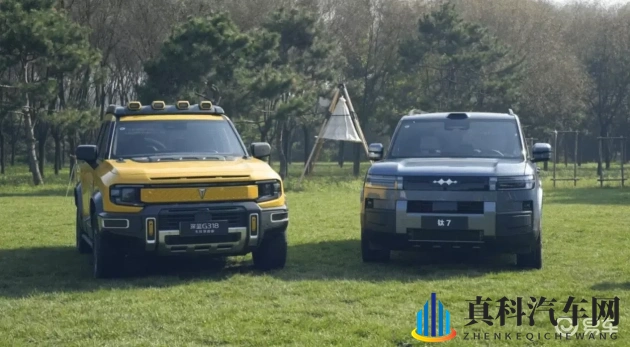 男生和女生叉叉：性别交流中的互动与探讨-1