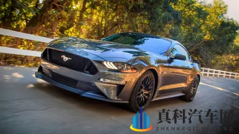 有撞车风险，大量汽车被紧急召回-1