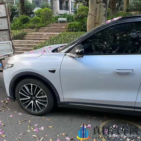 欧美大鸡吧:西方雄壮禽类,体型硕大-1