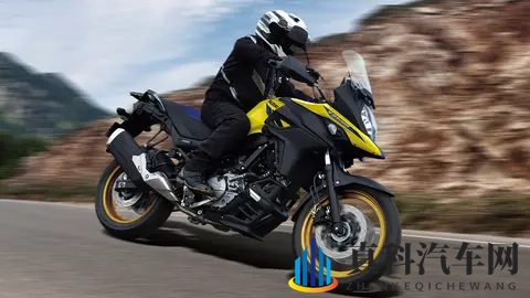 铃木海外停产650跨骑车系列,这又是咋了?-3