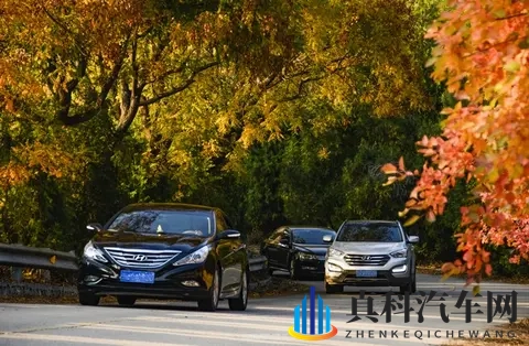 机机对机手机免费版下载安装大全2023:2023免费版手机应用下载安装攻略大全-2