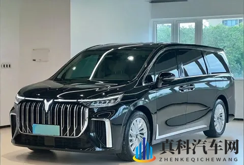 2025年Q3 MPV销量洗牌：谁在逆袭，谁已掉队？-3