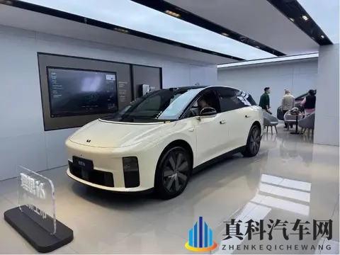 电厂  购置税变天之前，汽车公司“撒钱买量”-1