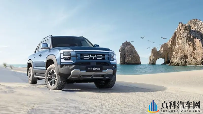 有好东西不卖国内？比亚迪：安排！国内迟早上-1