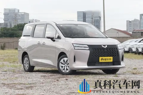 家用选车别盲目，星光730让我少踩坑，适合全家一起用-1