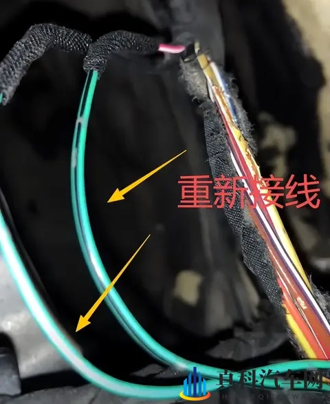 蝌蚪窝一个:汽车创新新势力,新能源车型崛起引关注-2