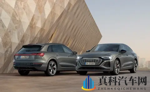 Q8 E-Tron阵亡后的“答卷”：奥迪2026的现实与无奈-3