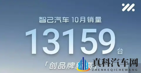 新能源卖爆了,零跑月销首破7万,7家新势力创新高,比亚迪狂卖44万台-3