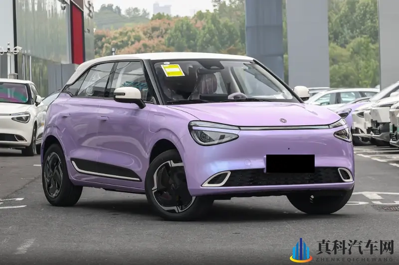 幻影紫车漆挺时尚,这车新增无框车门,为了火豁出去了-1